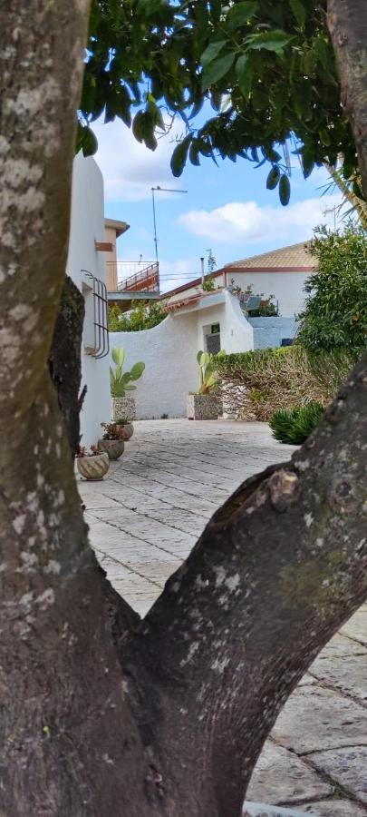 Voscenza Benerica Villa Vittoria Eksteriør billede